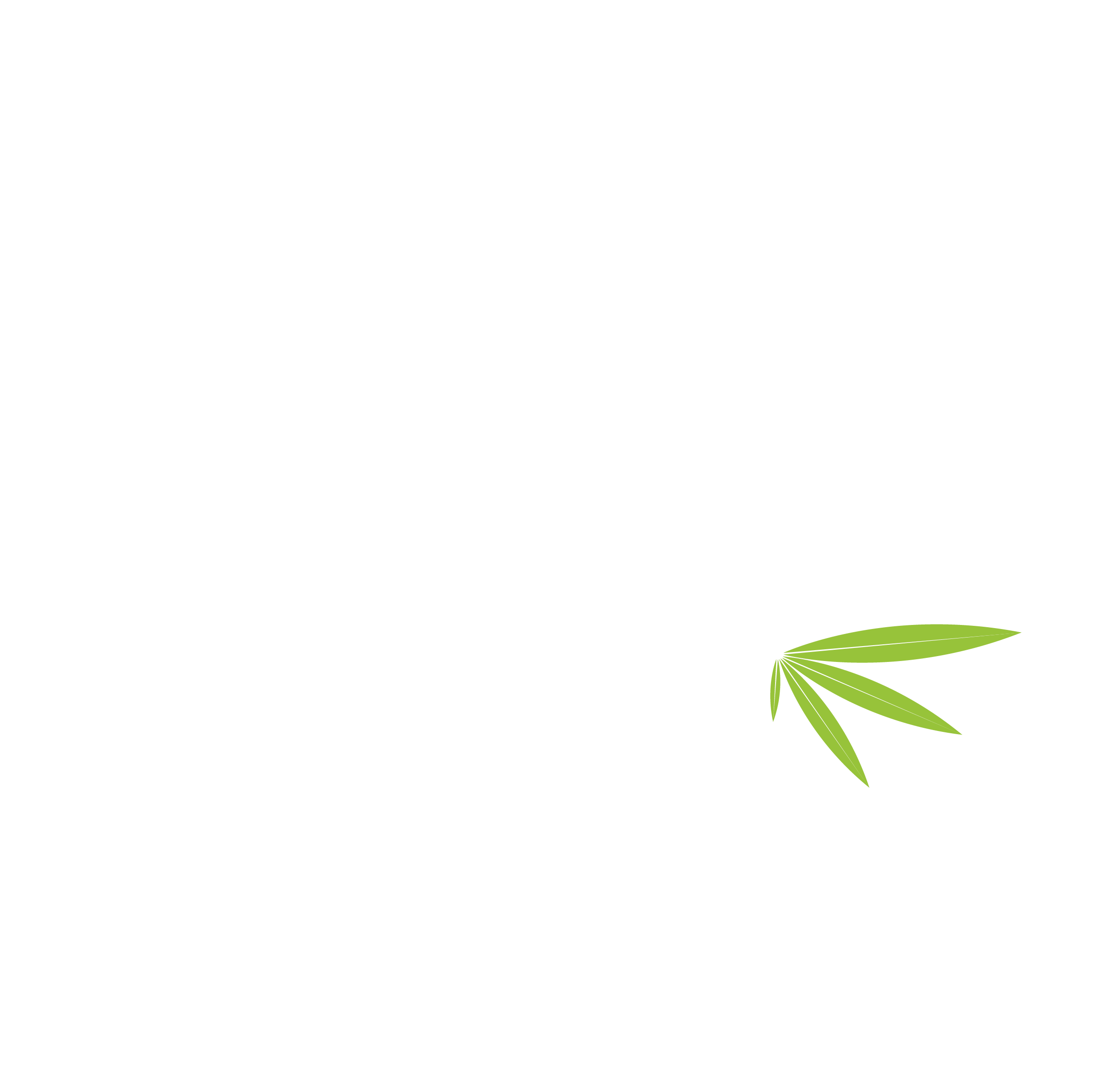CSC Growroom Nr. 13 e.V - Dein Anbauverein im Allgäu / Kaufbeuren